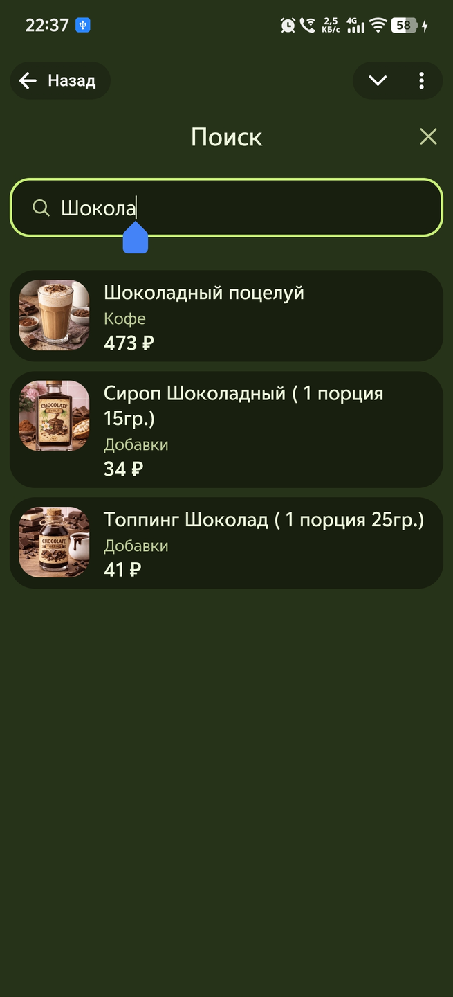 Открытое окно поиска