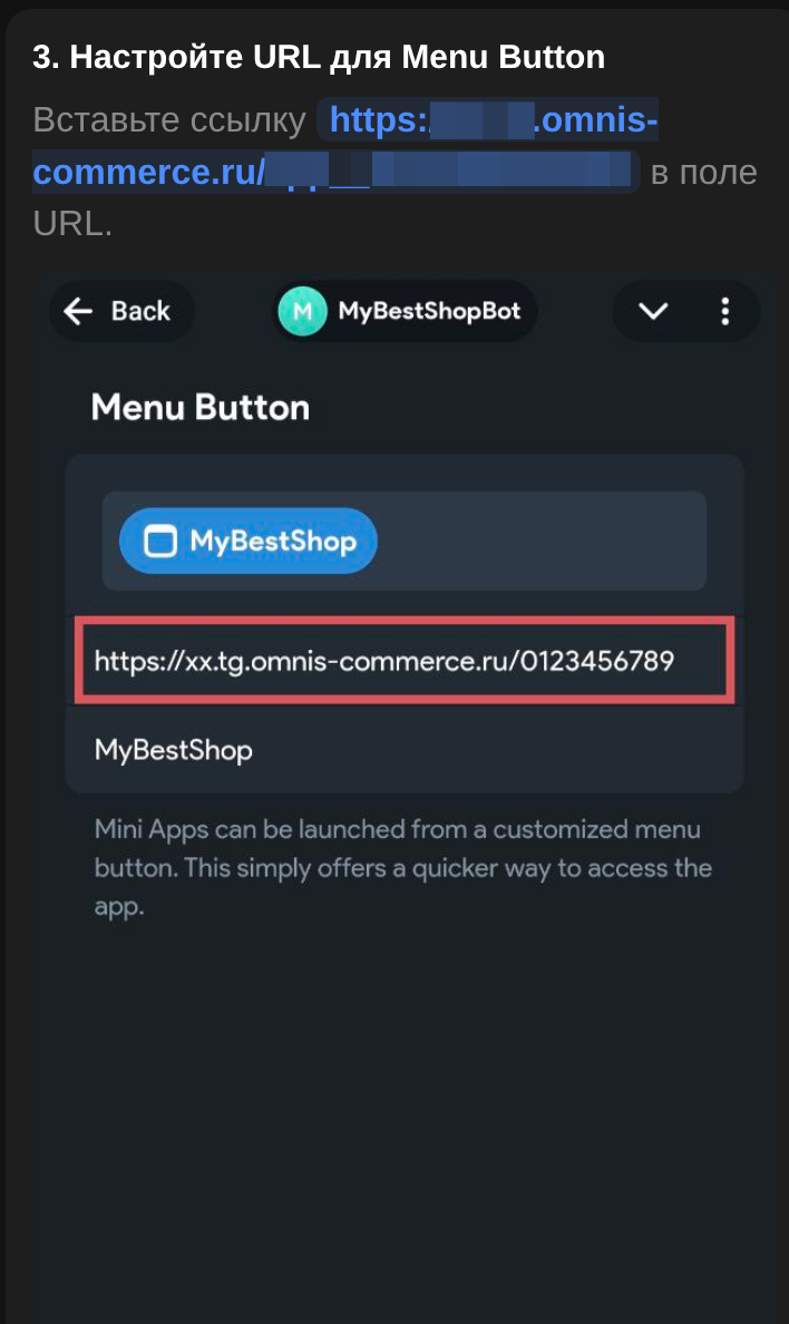 Готовая ссылка запуска на последнем экране Omnis
